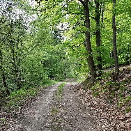 Jansen 